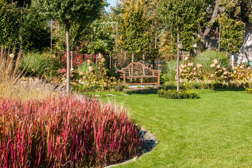 Obraz premium Trawy ozdobne w ogrodzie z ławeczką w tle
