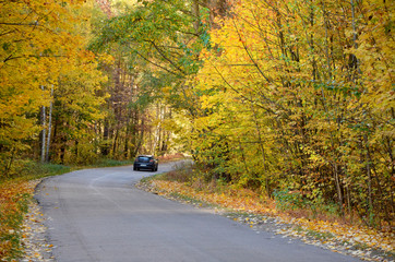  road in autumn forest and car