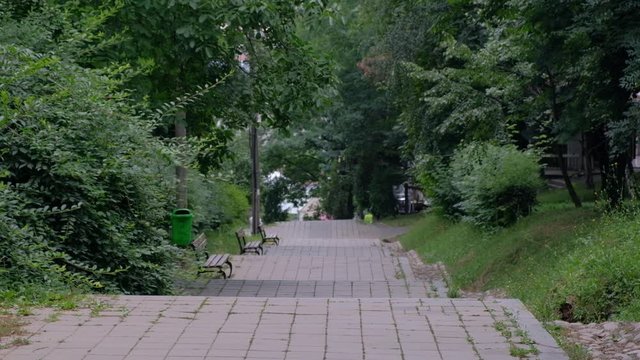 Parque Cetățuia, Cluj-Napoca,Transilvania,Ruman&iacute;a, Europa
