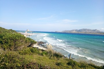 view of the beach