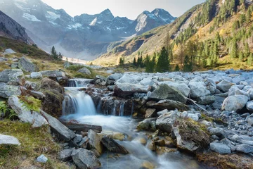 Photo sur Plexiglas Le salon Petit ruisseau de montagne dans les Alpes du Zillertal au Tyrol