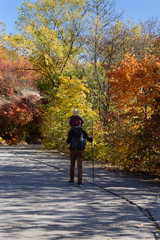 Fototapeta premium Father with son on his shoulders walking in the autumn park. Sunny day. Back view