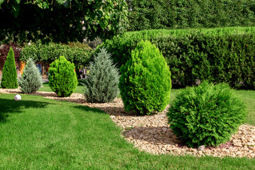 Landscaping garden with stones scattered wave with green bushes of evergreen thuja and green lawn...