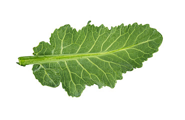 Cauliflower leaf isolated on white background