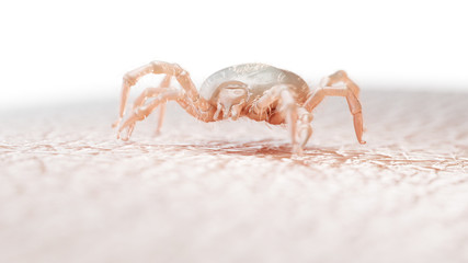 3d rendered medically accurate illustration of a tick larva