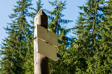 Signs in the forest in the Tatra Mountains