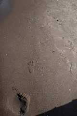 footprints in the sand