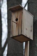Birdhouse on a tree trunk