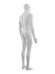 3d rendered medically accurate illustration of the male body