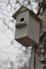 Birdhouse on a tree trunk