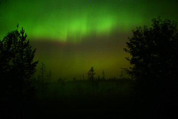 Fototapeta premium Northern lights over oncoming fog in the night
