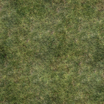 Grass Texture Seamless Material Map for creating materials, background, diffuse texture or commercial use