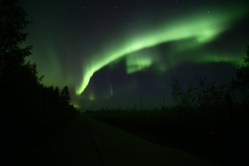Northern lights over forestscape and road in the night