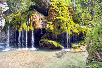 Small waterfalls and mossy rocks, part of the forest called 'Capelli di Capelvenere waterfalls', Casaletto Spartano, Salerno Italy.