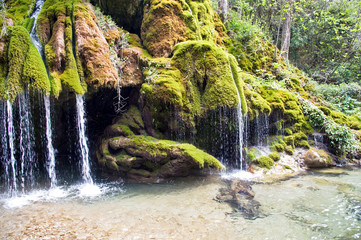 Small waterfalls and mossy rocks, part of the forest called 'Capelli di Capelvenere waterfalls', Casaletto Spartano, Salerno Italy.