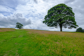 Beautiful Landscape in Lyme Park estate, Peak District, UK