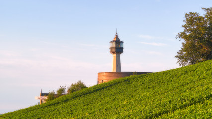 Famous lighthouse between green vineyard hills in Champagne region, France - 298734324