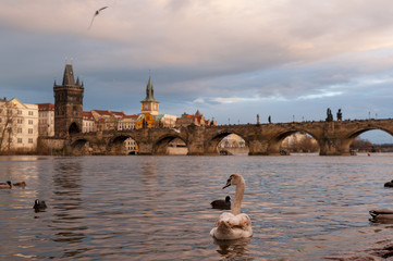 charles bridge in prague
