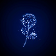 Ice flower in a blue background