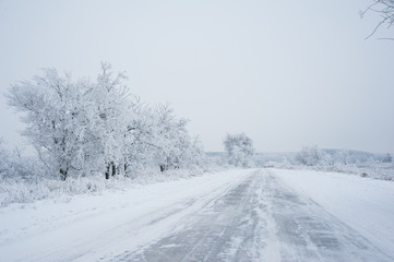Dirt road in the forest in winter