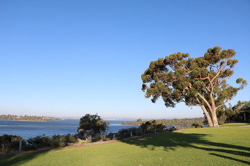 Swan River Perth view from the Peppermint Grove, Western Australia