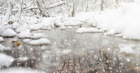 Winter park under the snow. A snowstorm in the city park. Park for walks with the whole family under the snow cover.