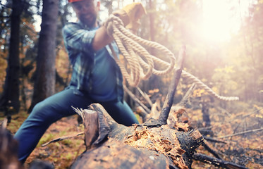Obraz premium Male worker with an ax chopping a tree in the forest.