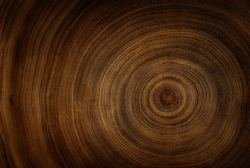 Old wooden tree cut surface. Detailed warm dark brown and orange tones of a felled tree trunk or stump. Rough organic texture of tree rings with close up of end grain.