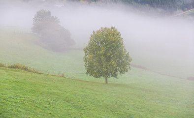 Obraz na płótnie Canvas aramaio valley in Basque Country