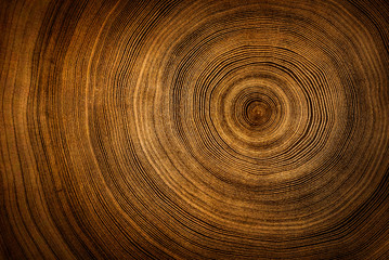Fototapeta na wymiar Old wooden tree cut surface. Detailed warm dark brown and orange tones of a felled tree trunk or stump. Rough organic texture of tree rings with close up of end grain.
