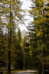 Fototapeta na wymiar Wanderung im Herbst in Alta Badia Corvara in Südtirol mit schöner Bergkulisse in den Dolomiten Italien