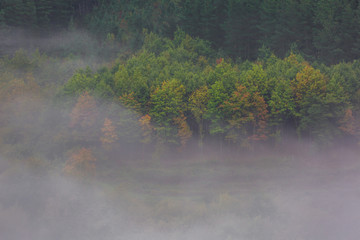 aramaio valley in Basque Country