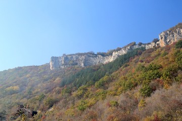 Forest on Shumen plateau (Bulgaria) in autumn in fog