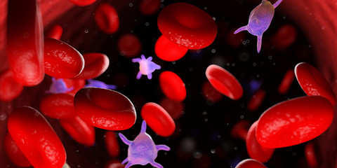 3d rendered medically accurate illustration of the human blood