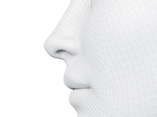 3d rendered medically accurate illustration of a wireframe nose - obrazy, fototapety, plakaty