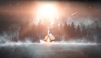 Dark abstract winter forest background. Wooden floor, snow, fog. Dark night background in the forest with moonlight. Night view, magic