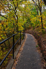 Fototapeta na wymiar Early autumn color in Central Park South