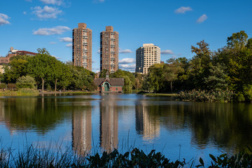 Fototapeta premium Early autumn color in Central Park North