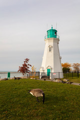 Port Dalhousie Lighthouse in Autumn with Canadian Geese