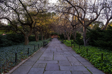 Early autumn color in Central Park North