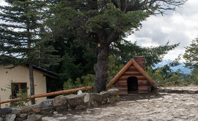 bosques frios