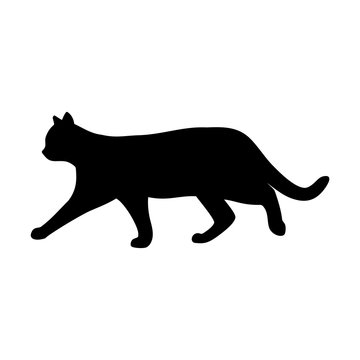 VECTOR. Cat. Business icon for the company. Logo for pet shop / veterinary clinic / symbol. Flat design. Illustration.