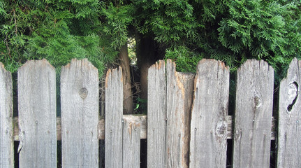 Broken Fence, Cedar, Wooden