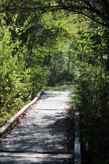 Obraz premium nature hike