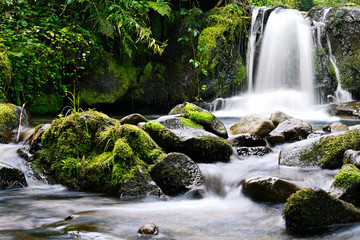 Fototapeta na wymiar Small waterfall on the river with rocks.
