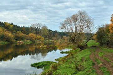 Fototapeta na wymiar Meadows and deciduous trees on the Warta River during autumn in Poland..