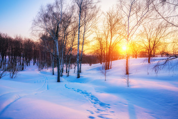 Red sunset in frozen winter forest