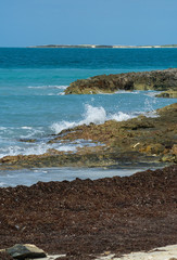 The sea and the waves of Cuba