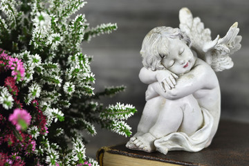 Obraz premium Guardian angel sleeping on the book