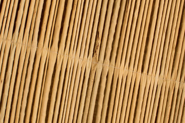 textura bambu